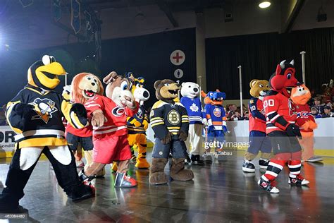 NHL Mascots Intensify Rivalries in Dodgeball Tournament